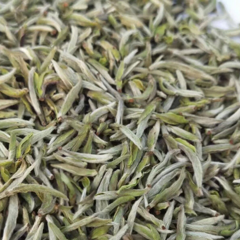 Fouramzingtea White Tea Premium|Fujian Silver Needle - Bai Hao Yin Zhen All Tea Buds Full Tea Downy Tea Fluff Supreme Grade White Tea Anti-inflammatory Rich in Antioxidants & Vatamins