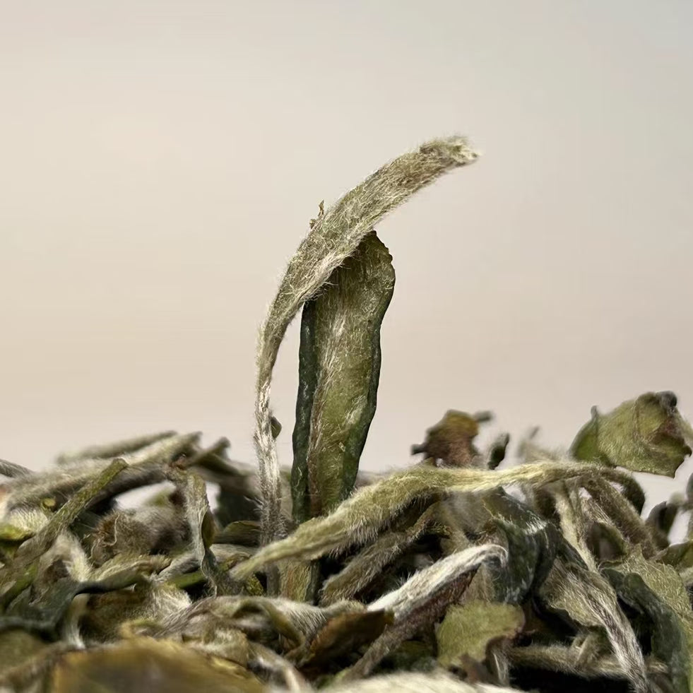 Fouramazingtea Organic White Peony king White Tea Chinese premium luxury Health Tea